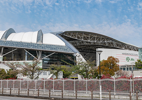 阪神競馬場