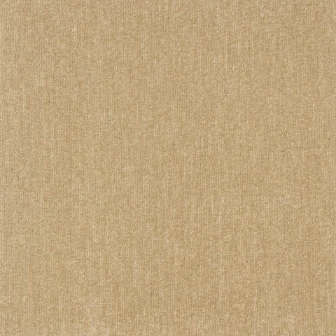 R-2000 PLAIN / プレーン (2002 サンド)