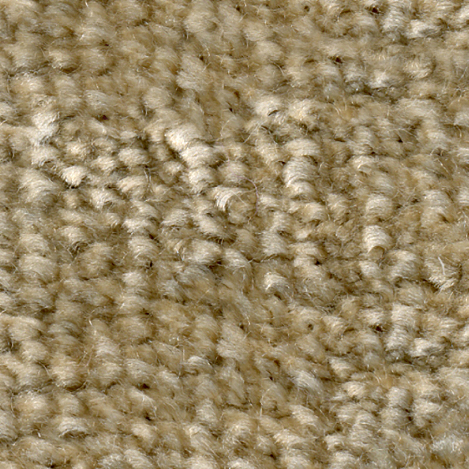 R-2000 PLAIN / プレーン (2002 サンド)