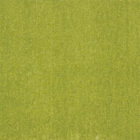 R-2000 PLAIN / プレーン (2004 イエローグリーン)