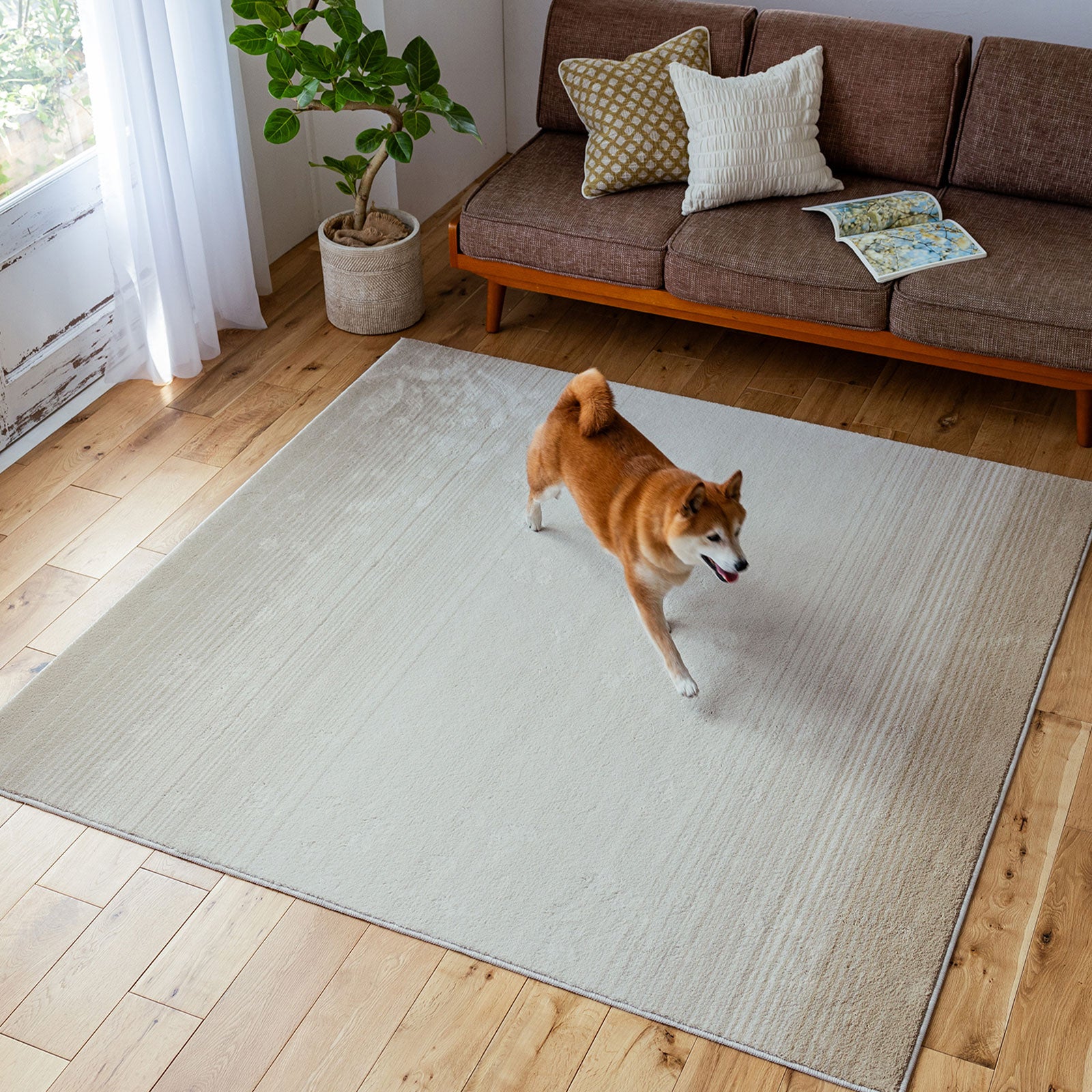 Merle2 / マール2 (#1 アイボリー)