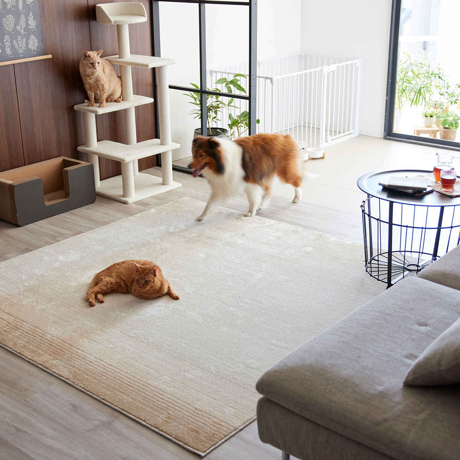 Merle2 / マール2 (#1 アイボリー)