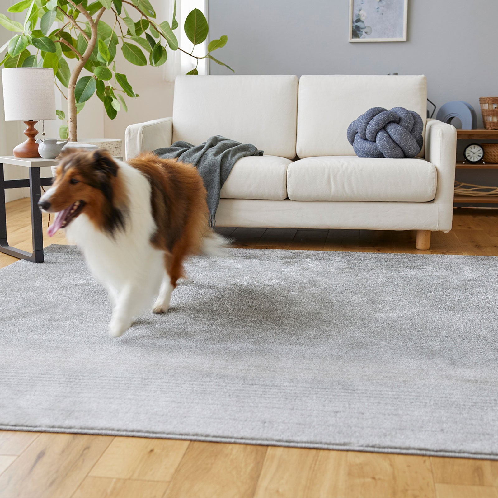 Merle2 / マール2 (#40 ダークグレー)