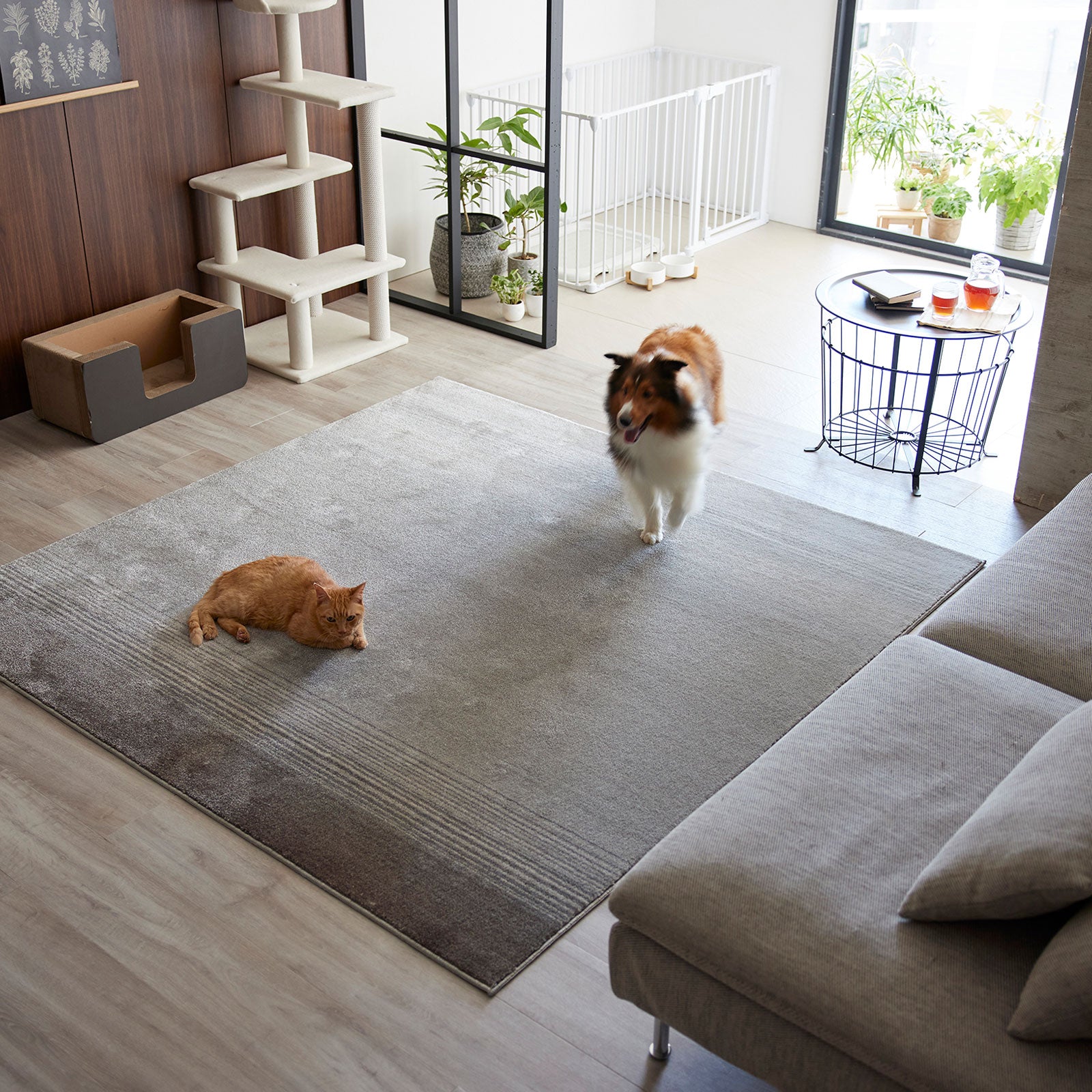 Merle2 / マール2 (#40 ダークグレー)