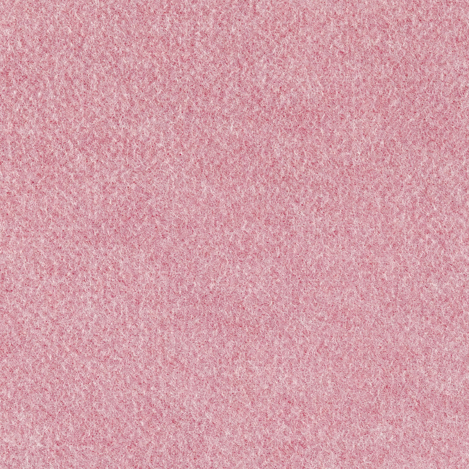 3117 (Pinky antibacterial punch)