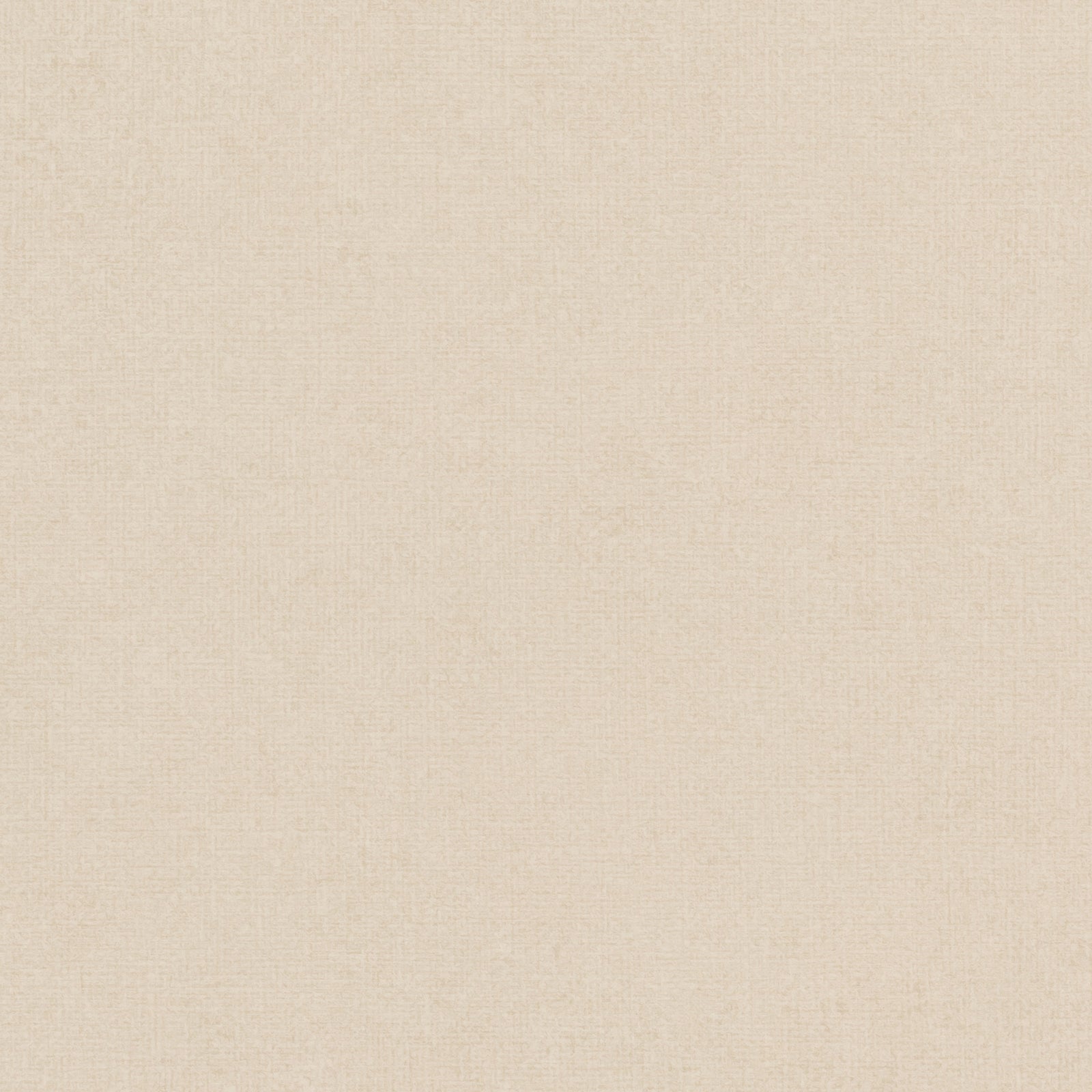STCC-7004 (Smillium Tex Cloud CT)