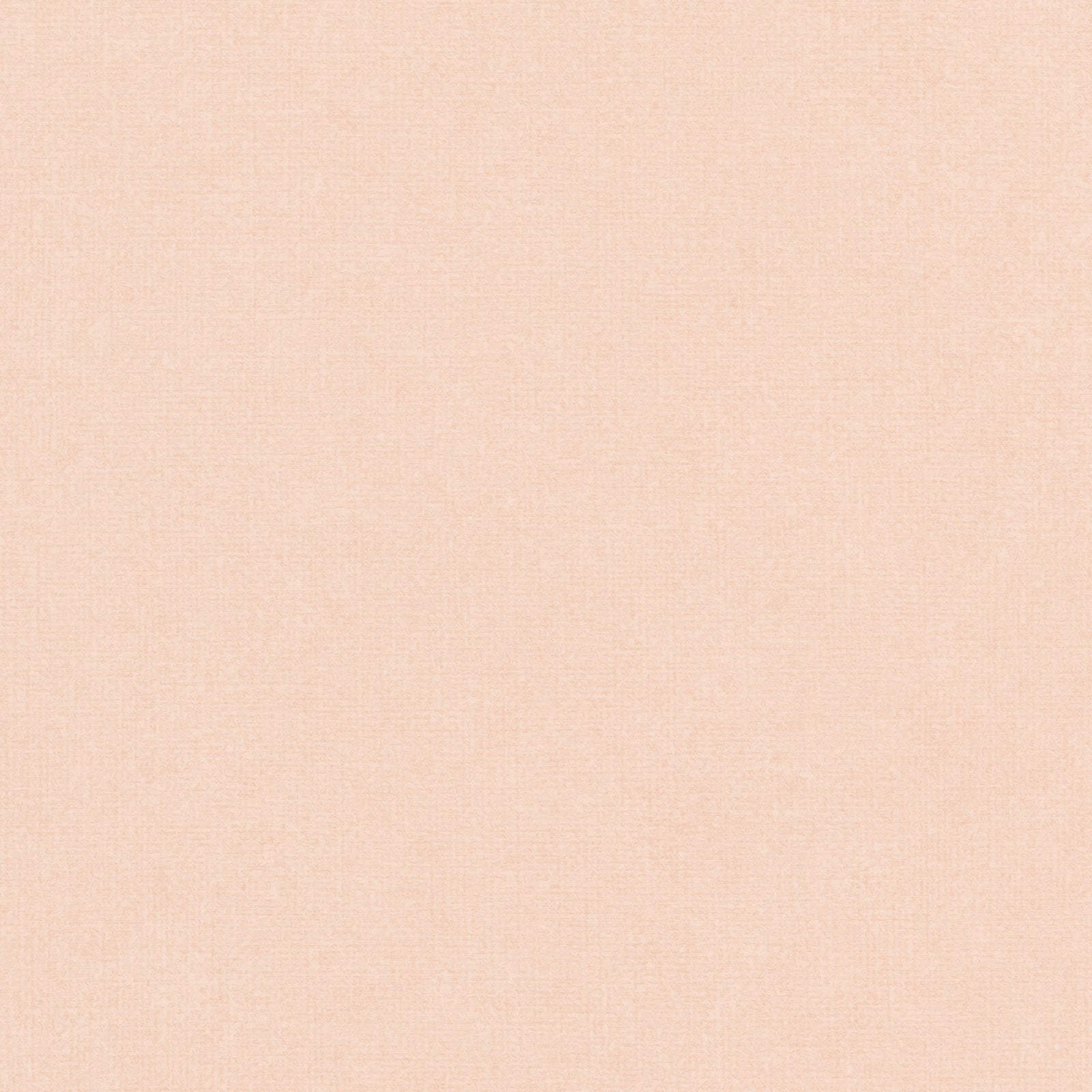 STCC-7008 (Smillium Tex Cloud CT)