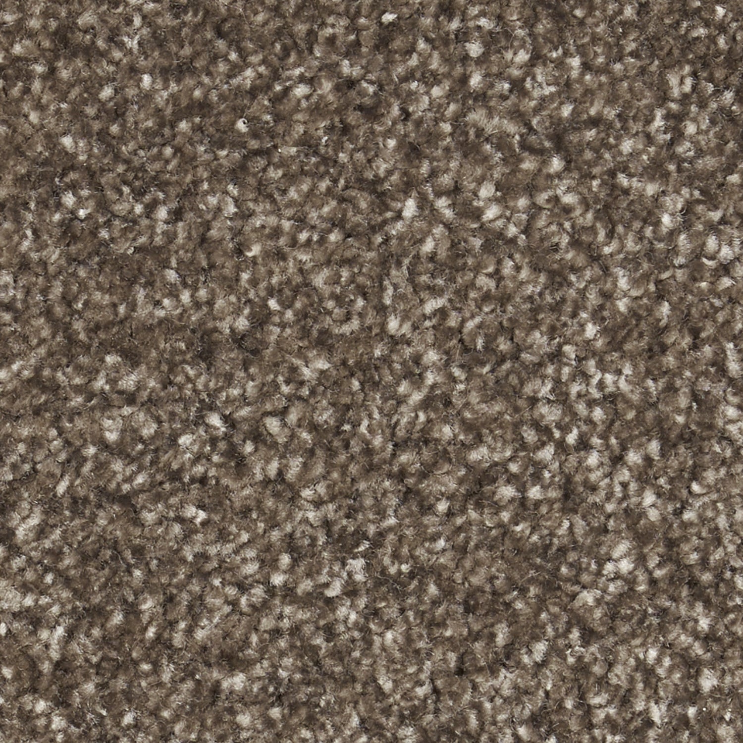 FUGA ( #4 Gray beige)