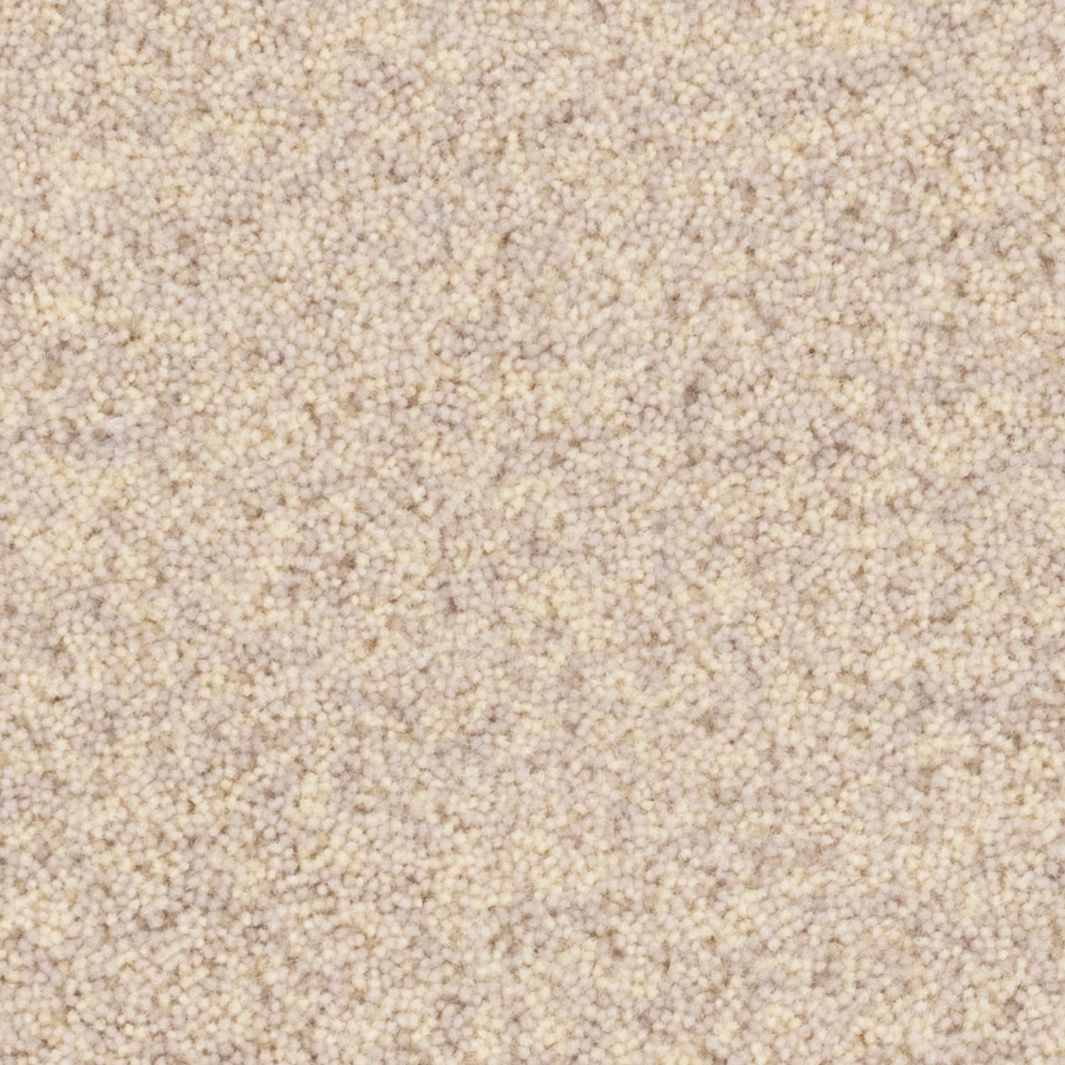 YUTA / ユタ ( #1エクリュ)