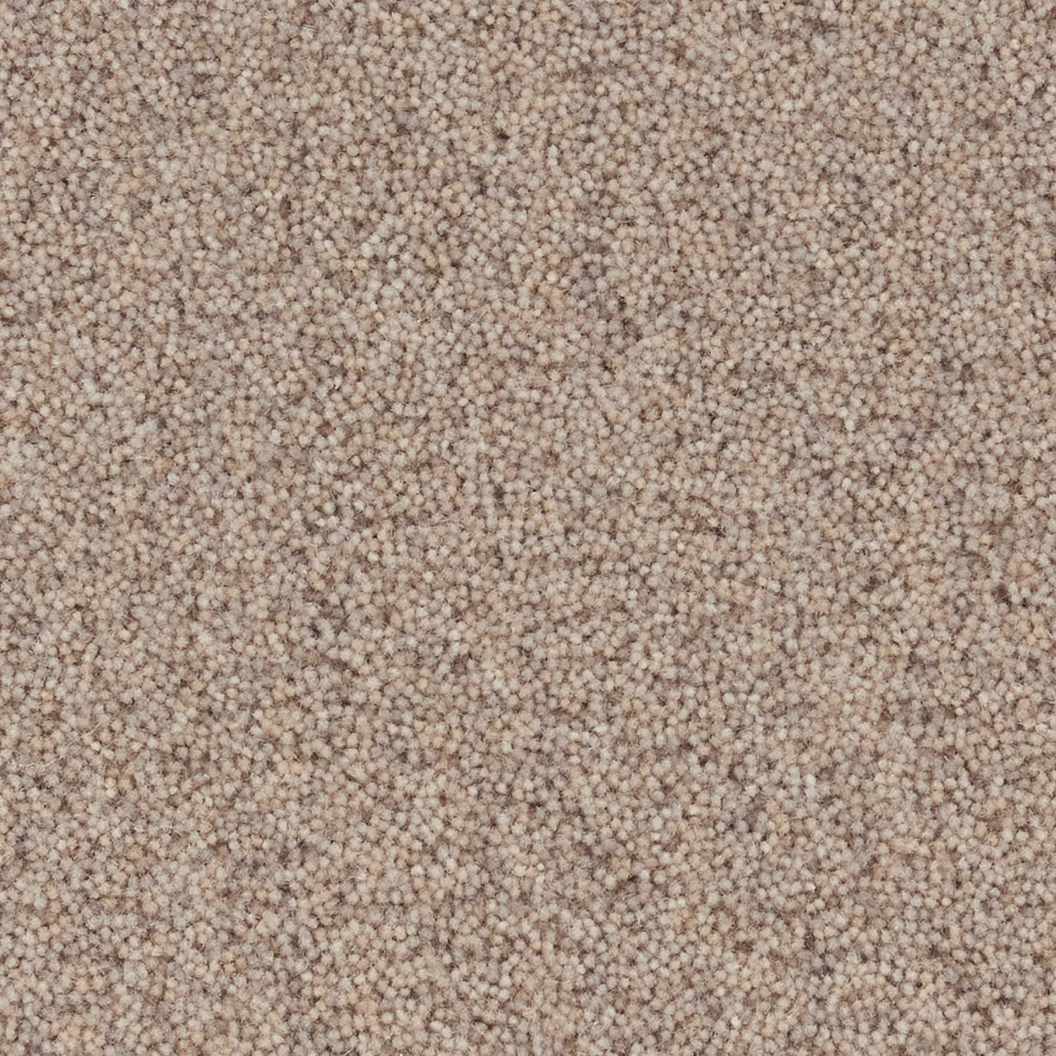 YUTA / ユタ ( #2グレージュ)