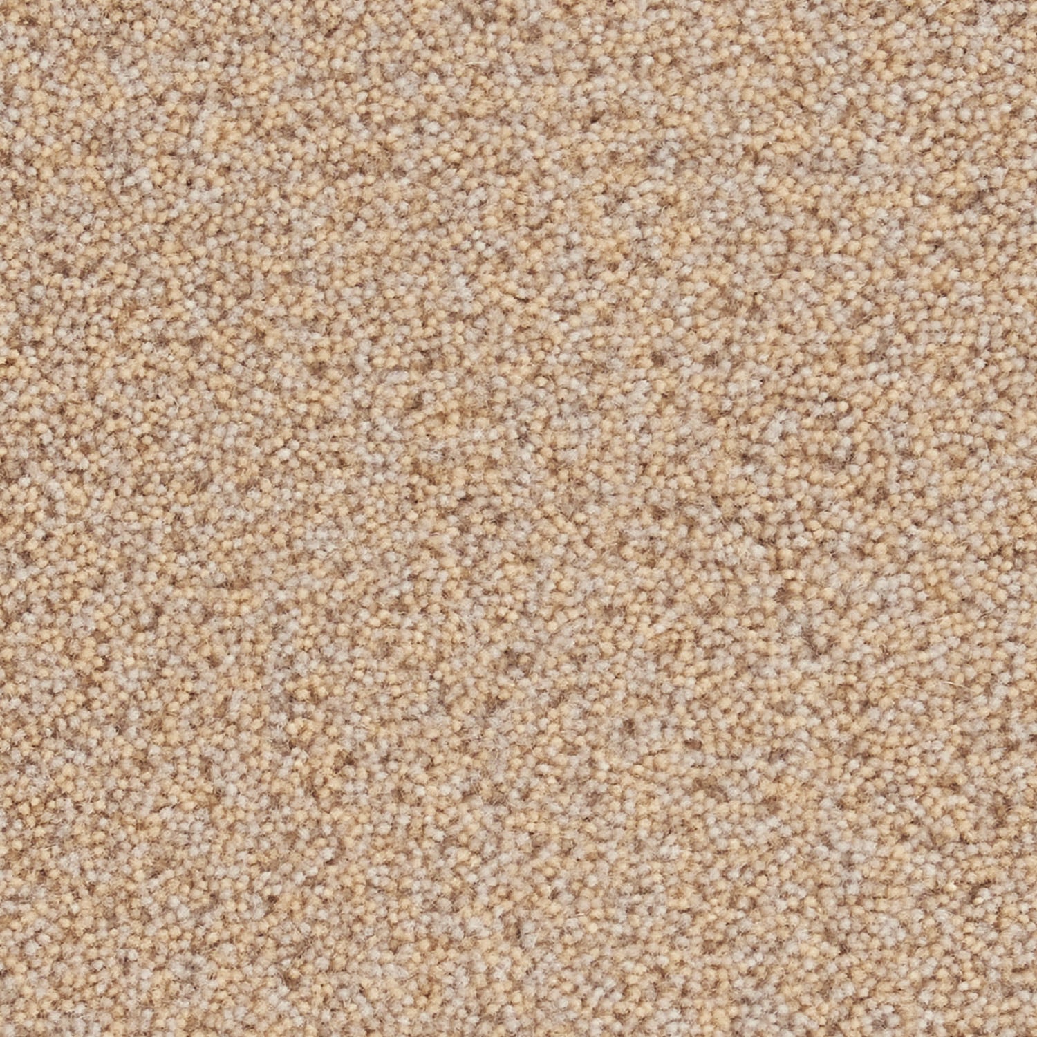 YUTA / ユタ ( #3ベージュ)