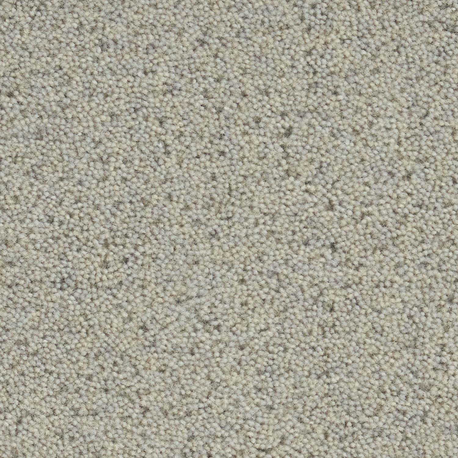 YUTA / ユタ ( #5セイジ)