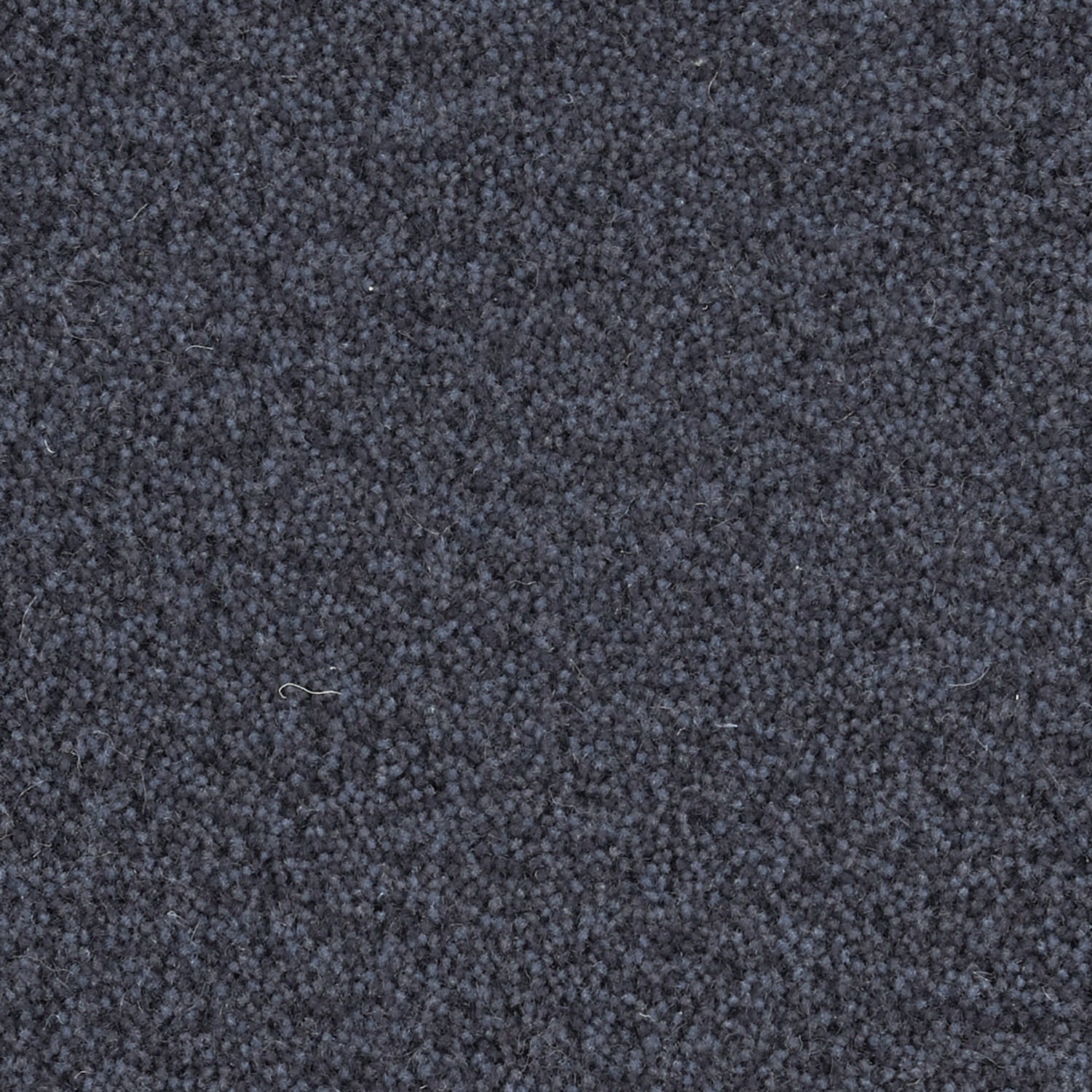 YUTA / ユタ ( #6ネイビー)