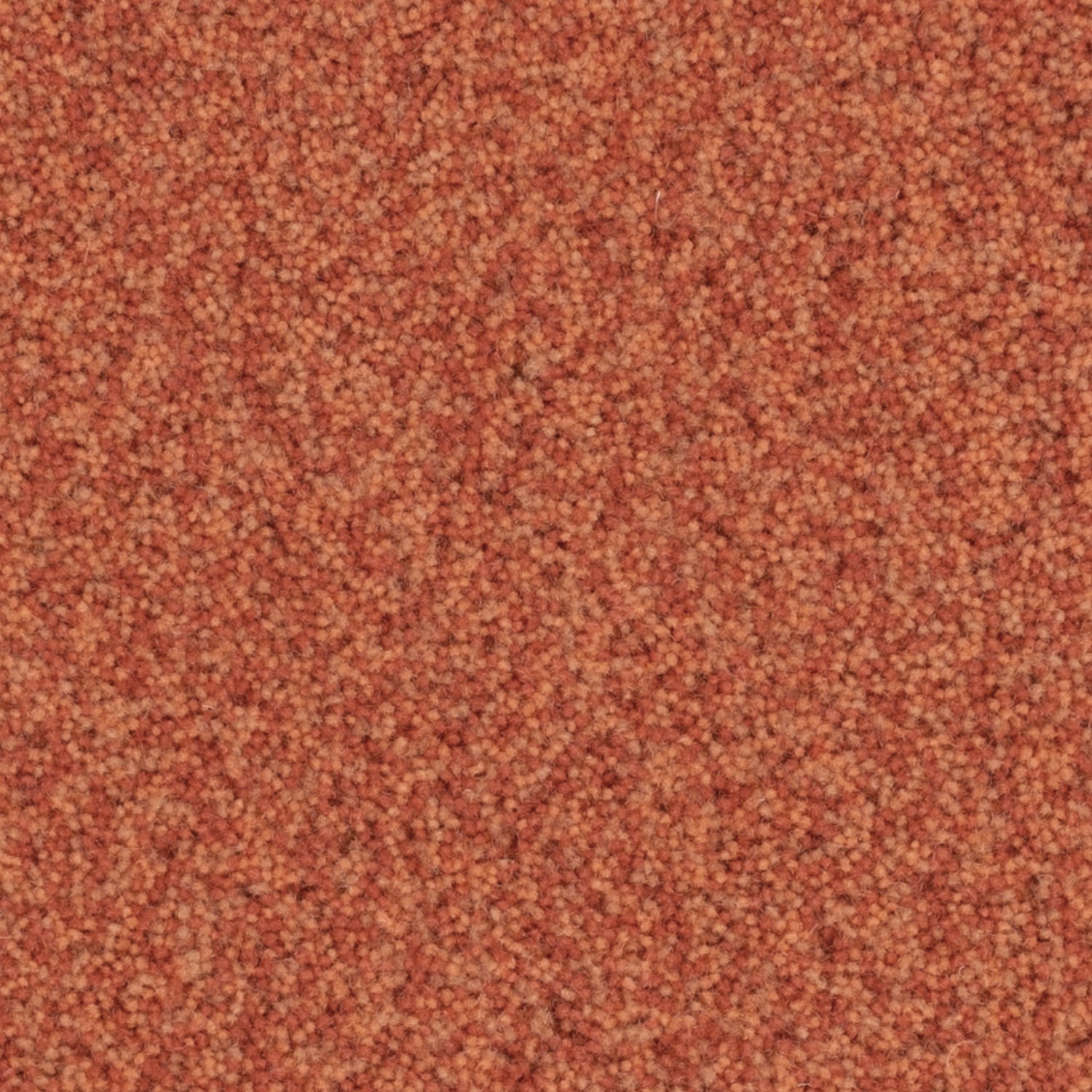 YUTA / ユタ ( #7ブリックブラウン)