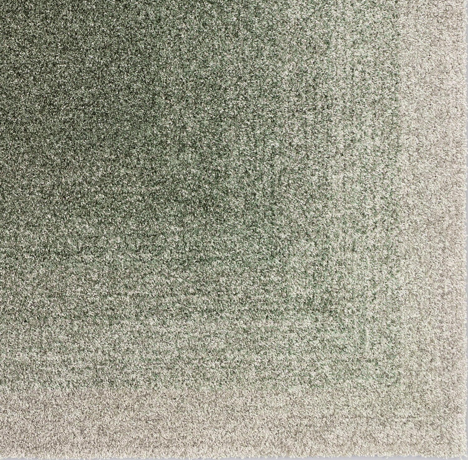 UTSUROI  ( #3 Green)