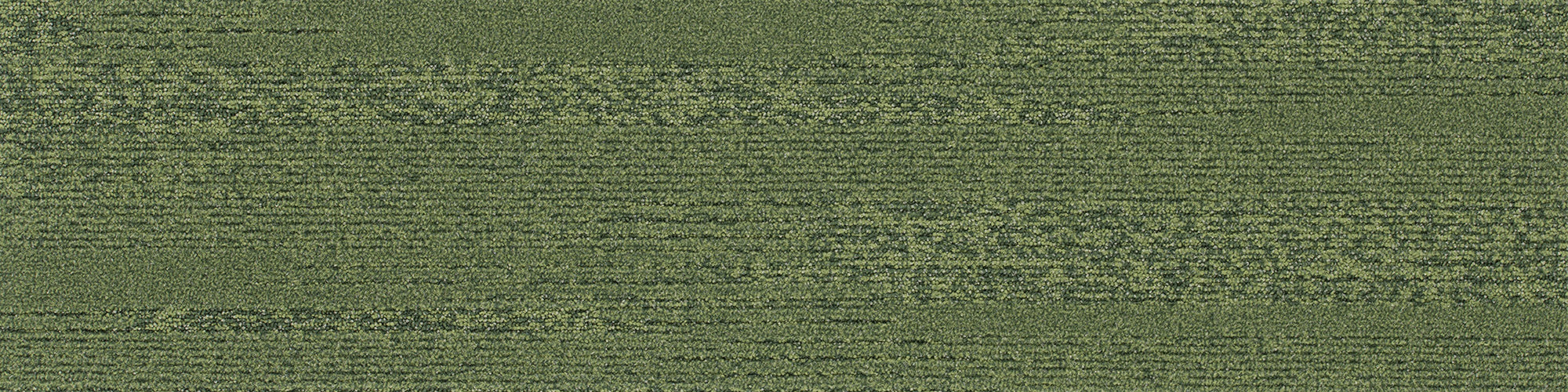 id1116ep_rp_1.jpg?v=1715304949