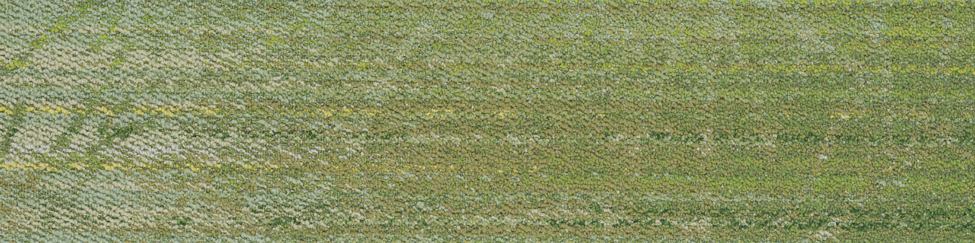 id1526ep_rp_1.jpg?v=1715242400