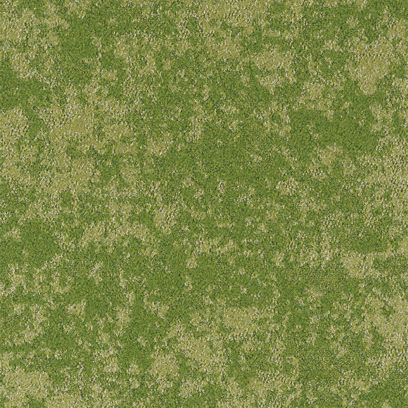iD-1624 (iD-1600)