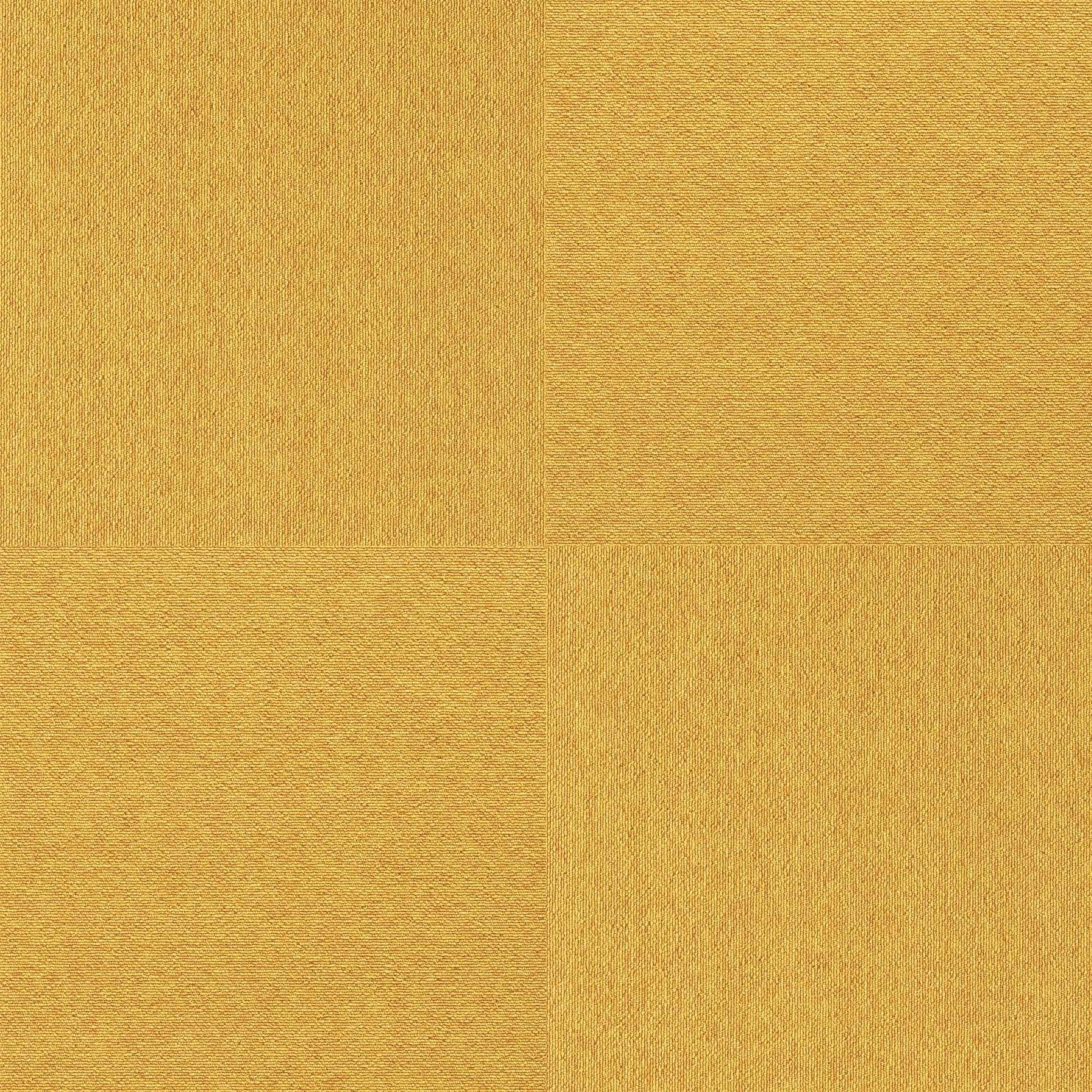 LP-2062N(LP-2000N NEXUS)