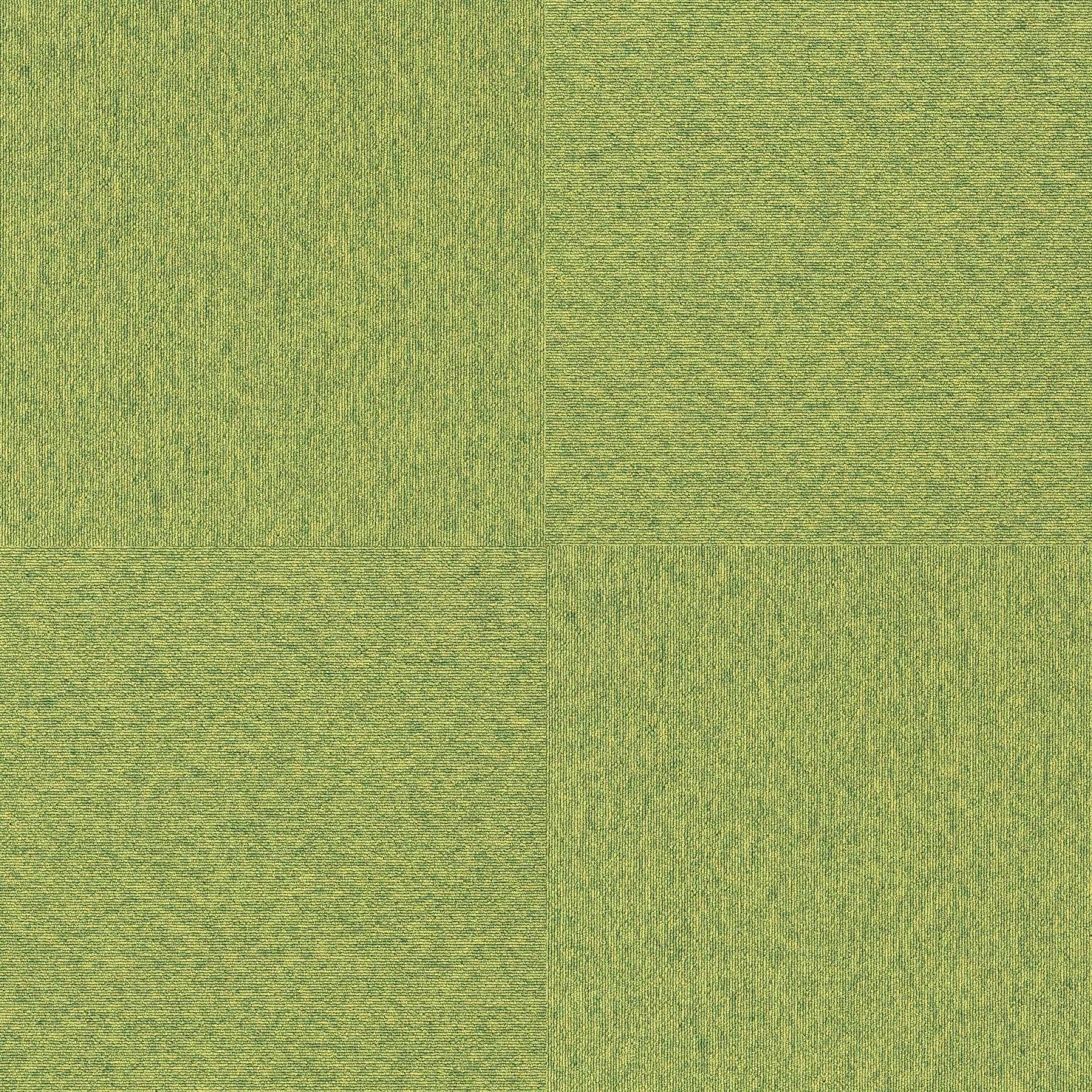 LP-2066N(LP-2000N NEXUS)
