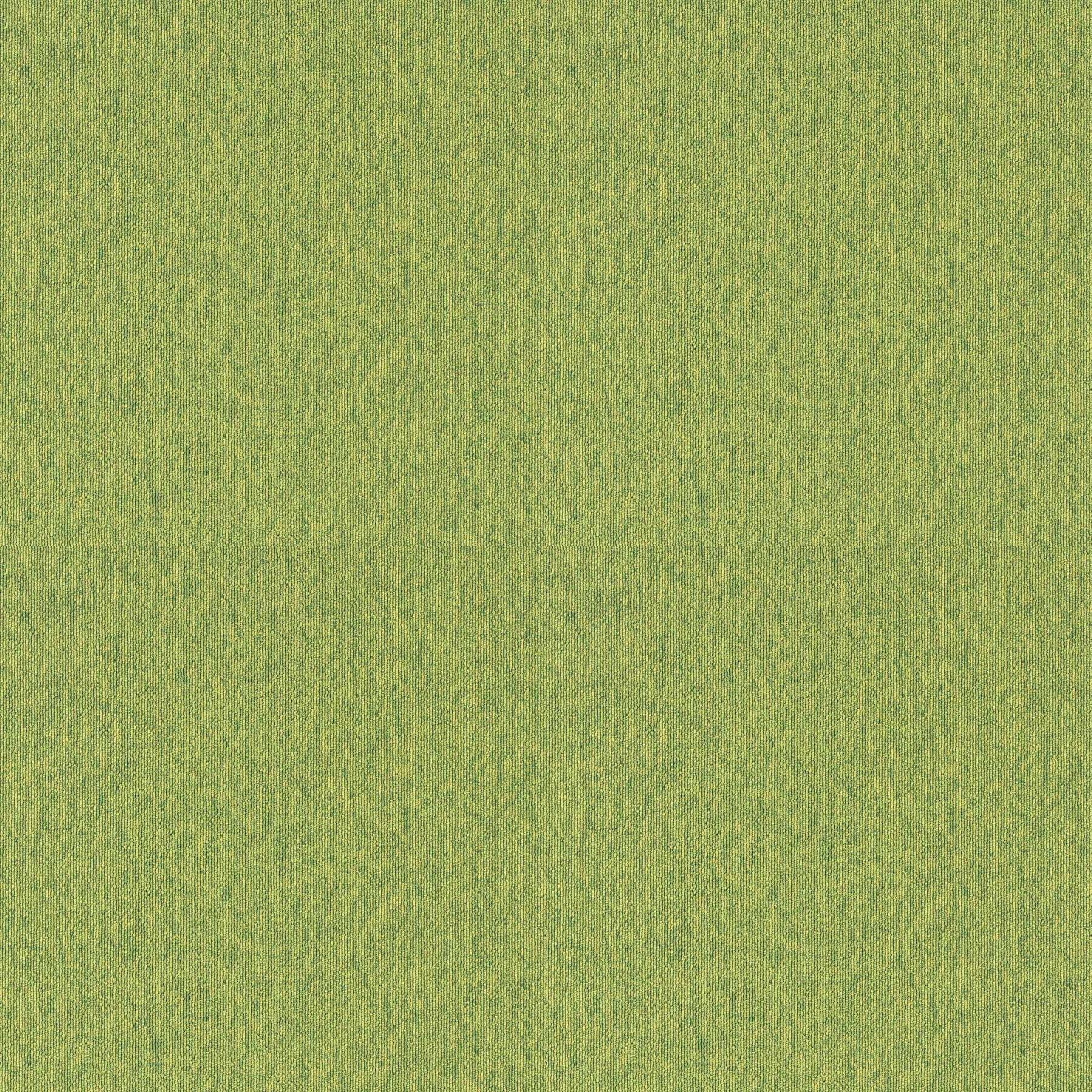 LP-2066N(LP-2000N NEXUS)