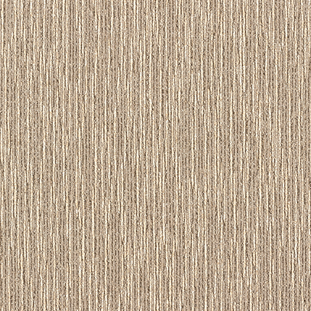 lx-1701の画像です