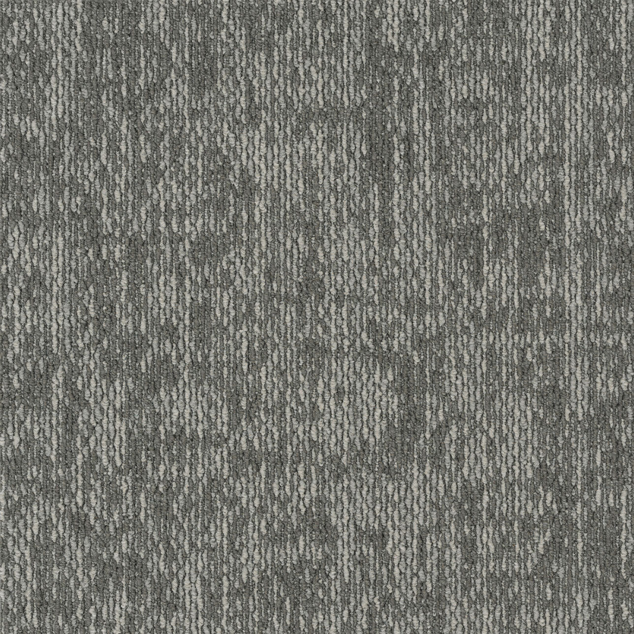 LX-2507 (LX-2500 CREVICE)