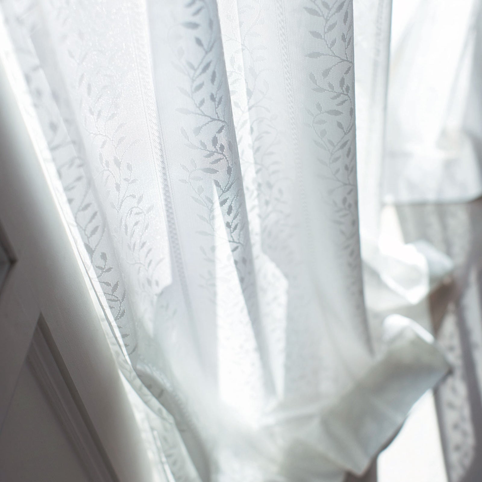 U-5428 Functional sheerの画像です