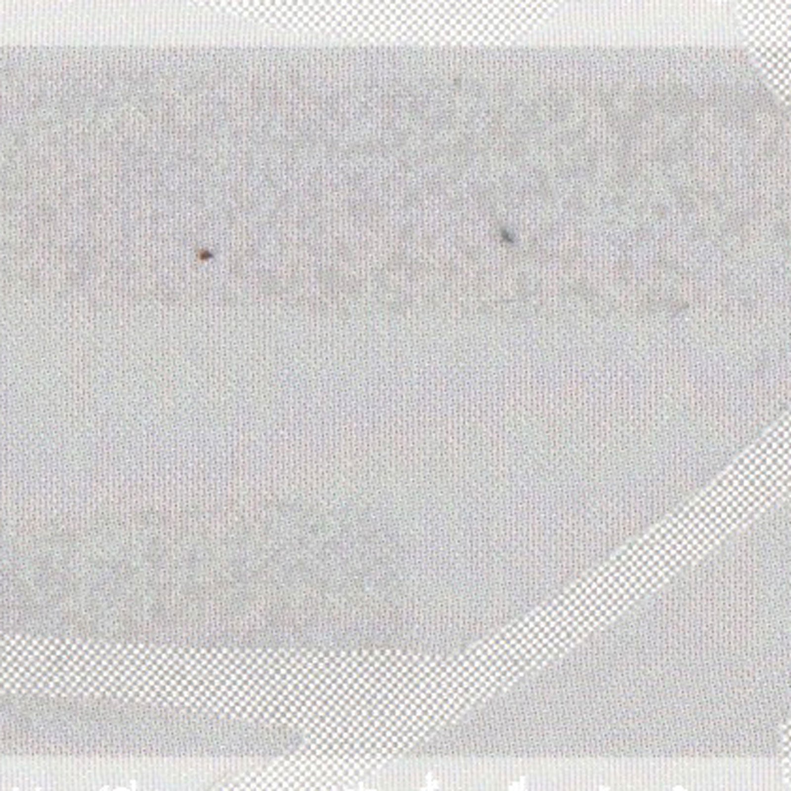 UD-516 Disneyの画像です