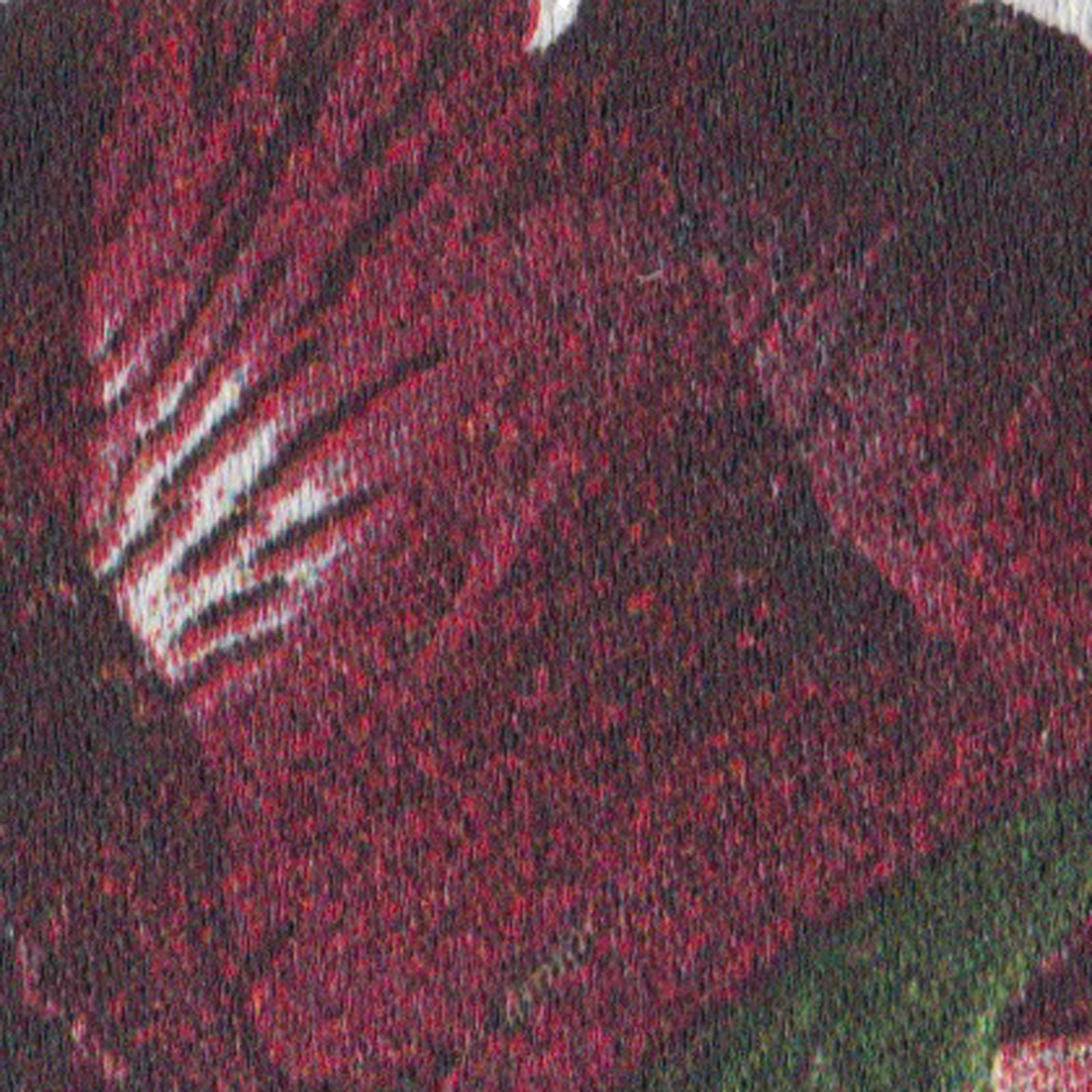 UD-517 Disneyの画像です