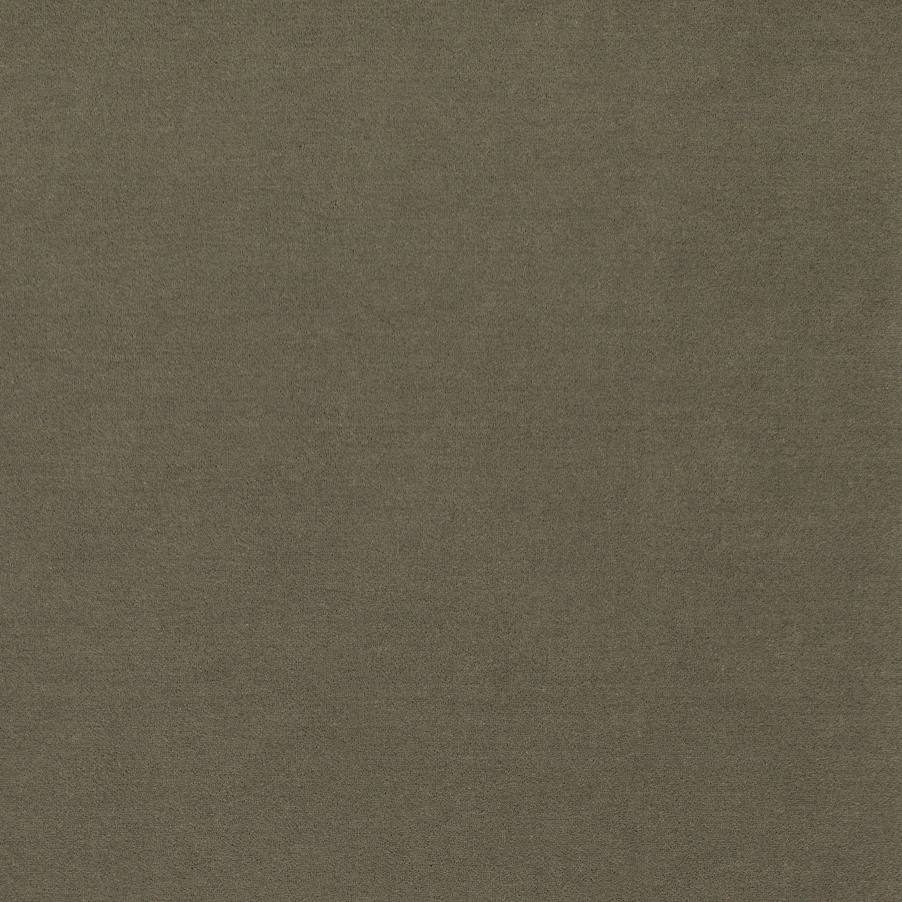 WR-14 (ウールレックス WOOL REX)