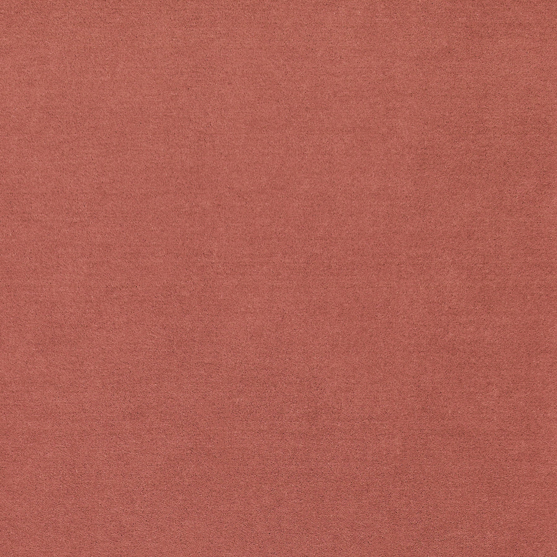 WR-22 (ウールレックス WOOL REX)