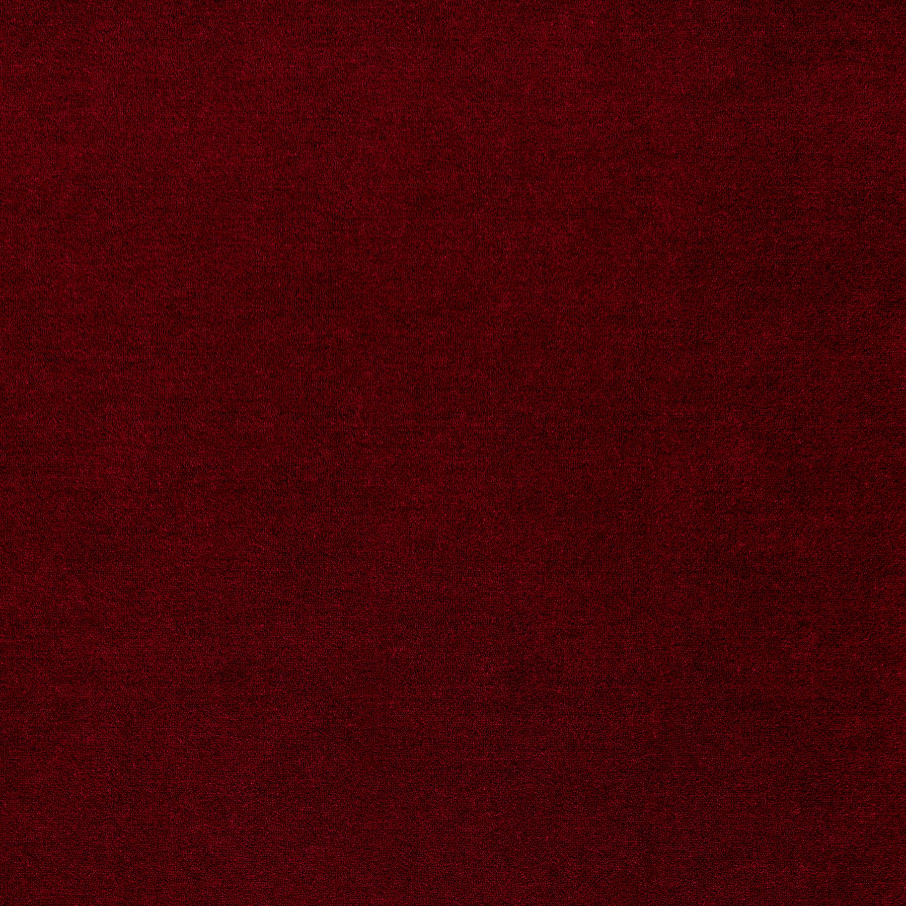 WR-24 (ウールレックス WOOL REX)