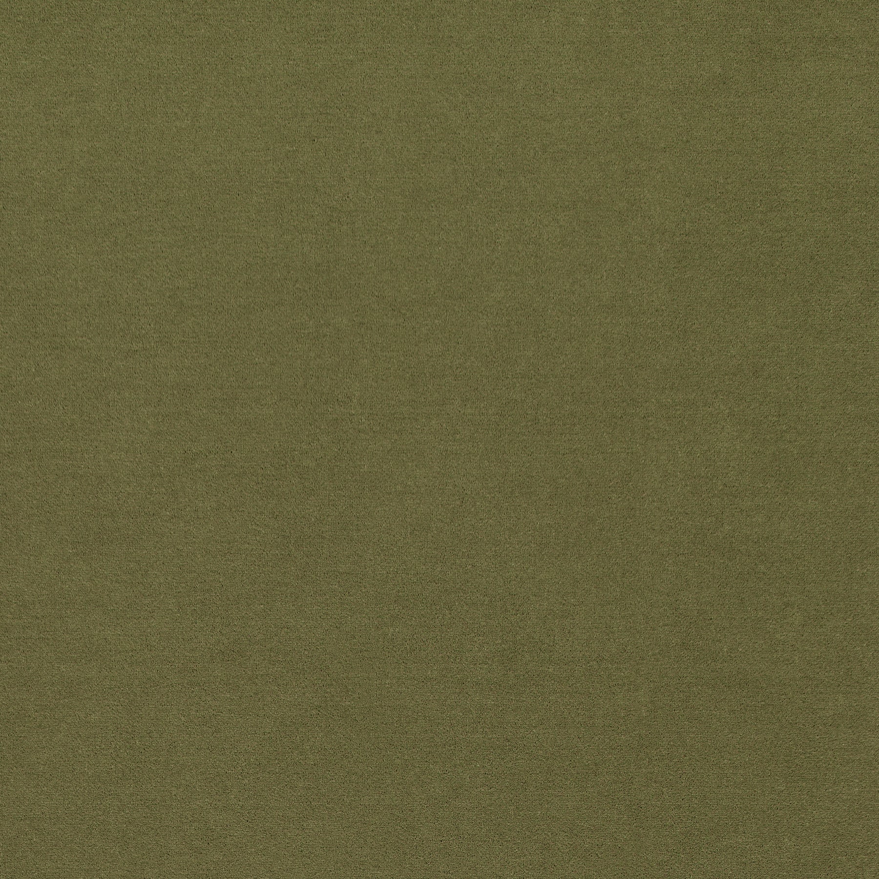 WR-25 (ウールレックス WOOL REX)
