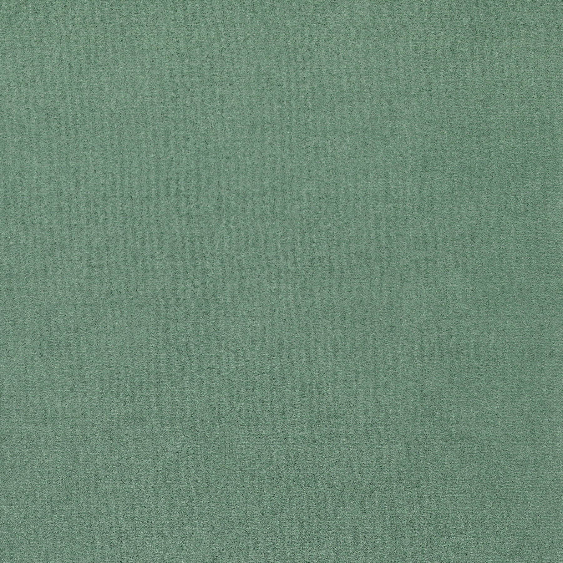 WR-27 (ウールレックス WOOL REX)