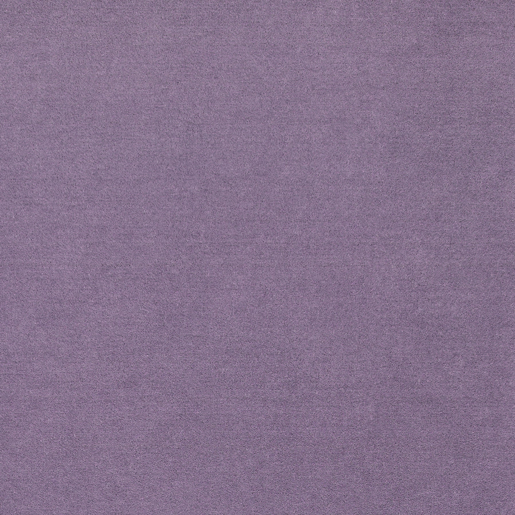 WR-28 (ウールレックス WOOL REX)