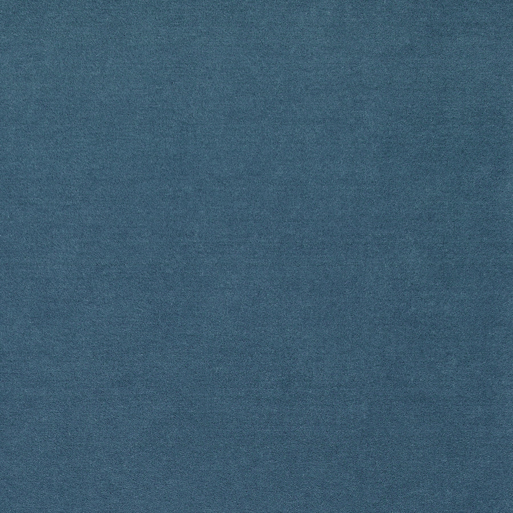 WR-29 (ウールレックス WOOL REX)