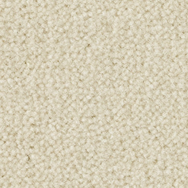 WR-31 (ウールレックス WOOL REX)