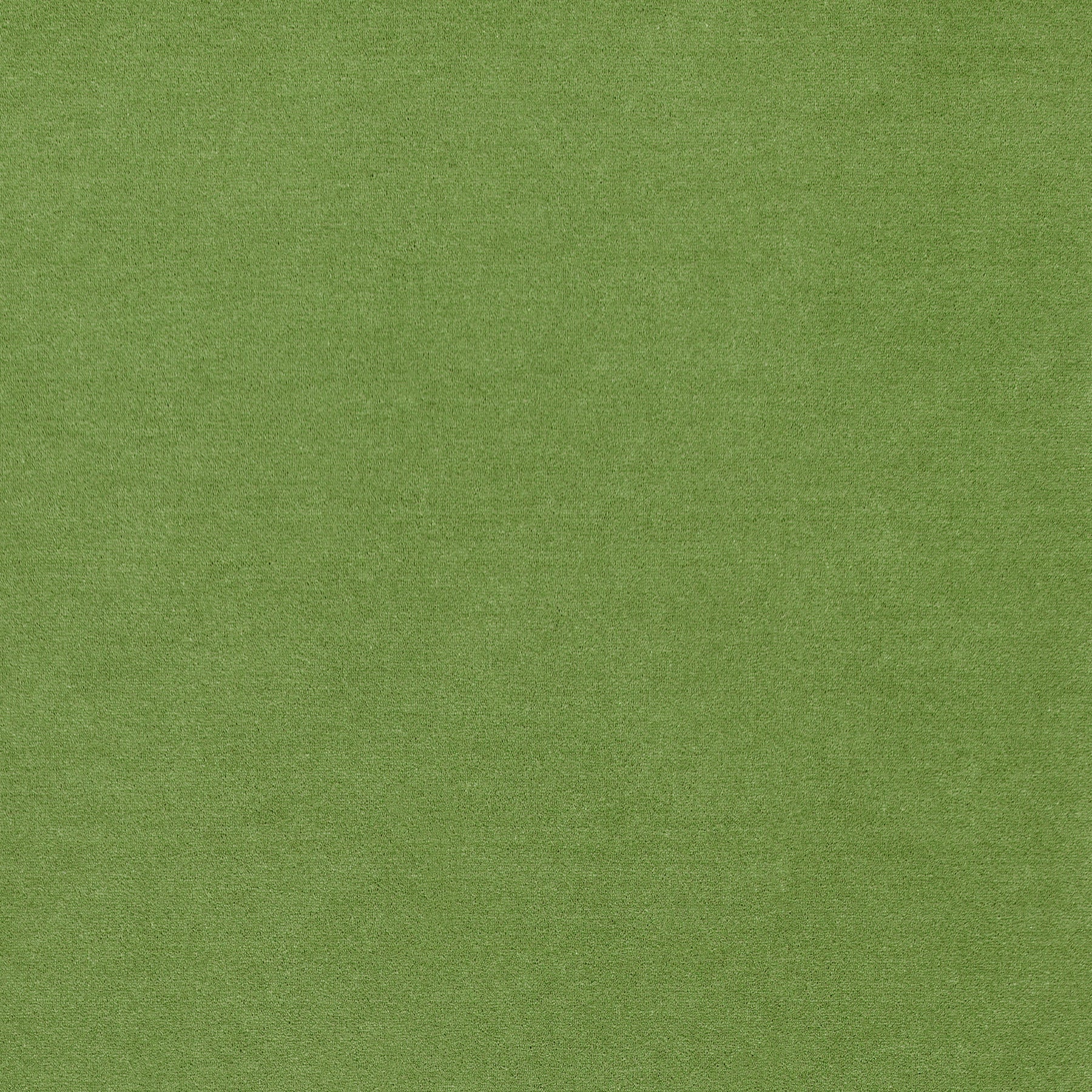 WR-33 (ウールレックス WOOL REX)