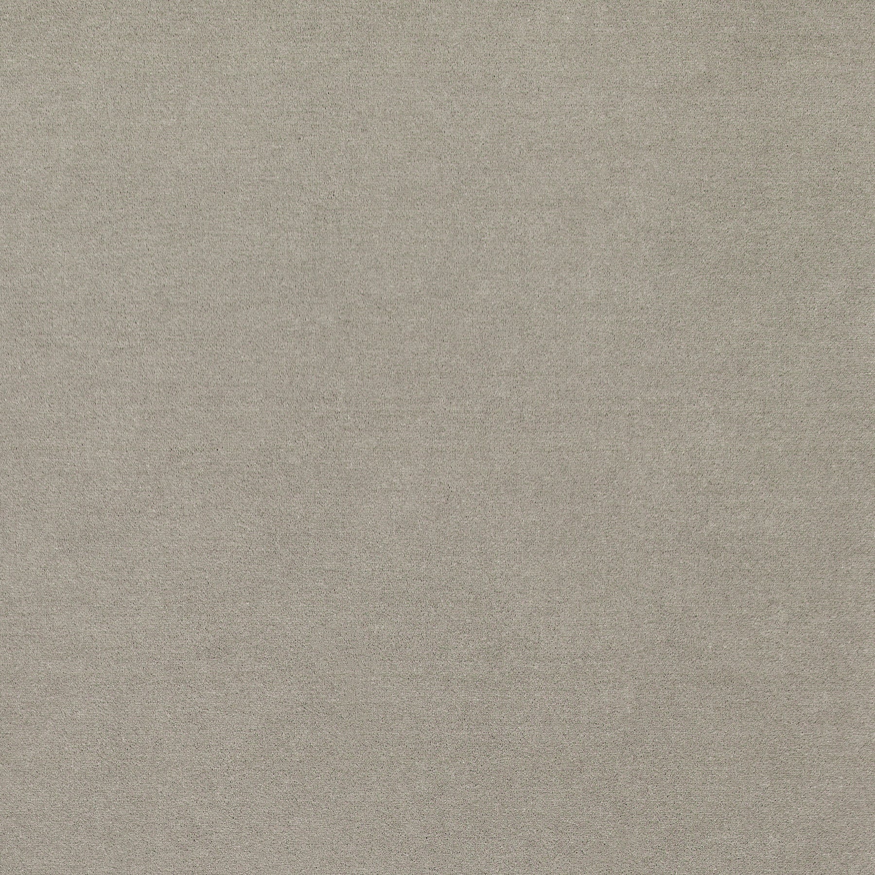 WR-35 (ウールレックス WOOL REX)