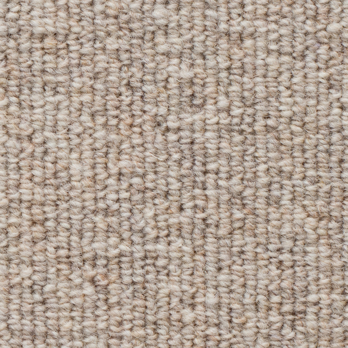 WS-101 (ウールスコット プレーン WOOL SCOT PLAIN)
