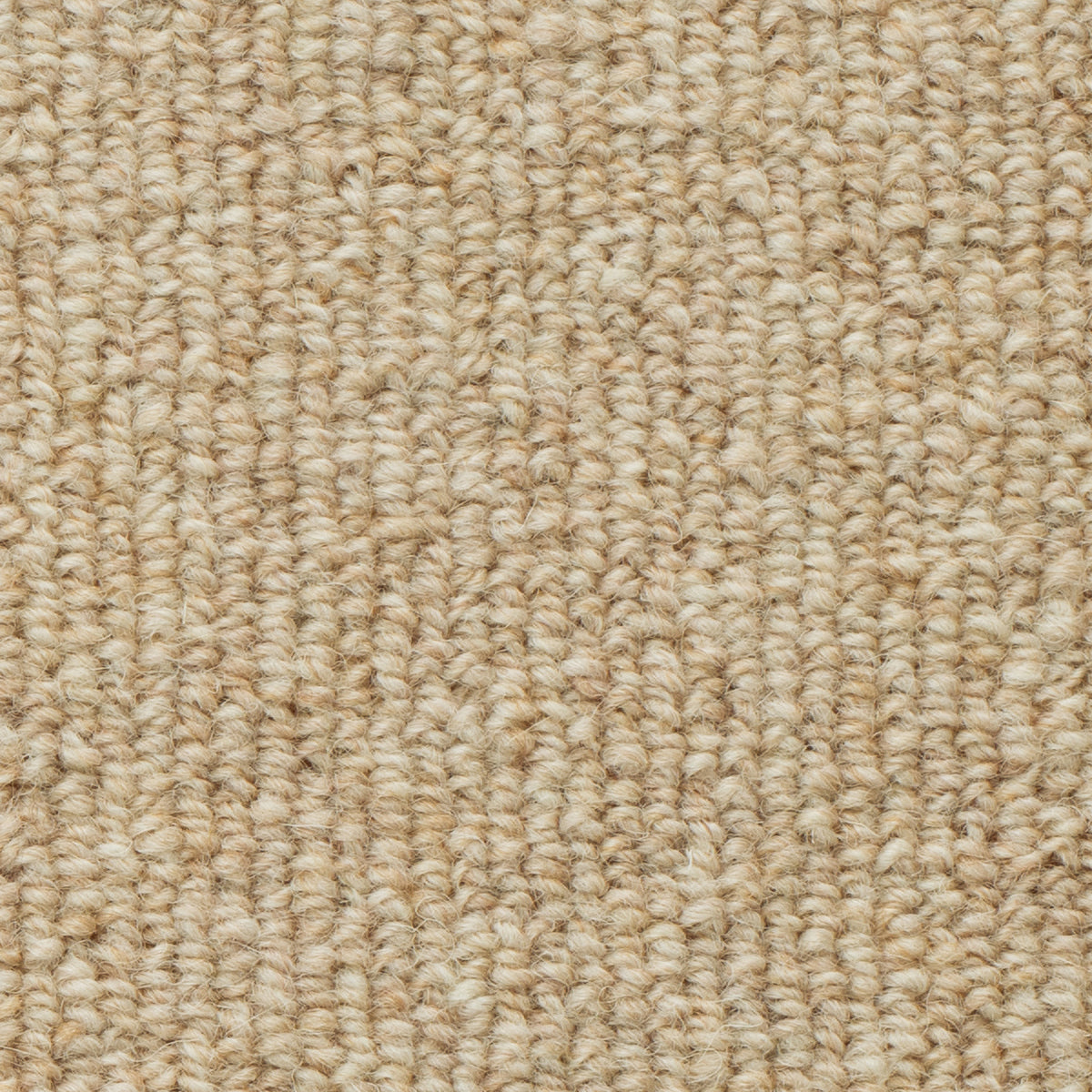 WS-104 (ウールスコット プレーン WOOL SCOT PLAIN)