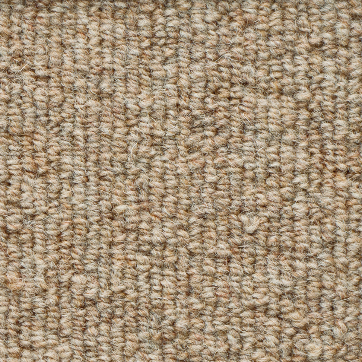 WS-105 (ウールスコット プレーン WOOL SCOT PLAIN)