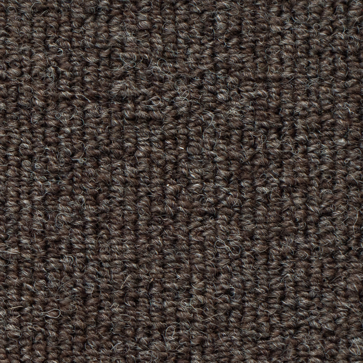 WS-106 (ウールスコット プレーン WOOL SCOT PLAIN)