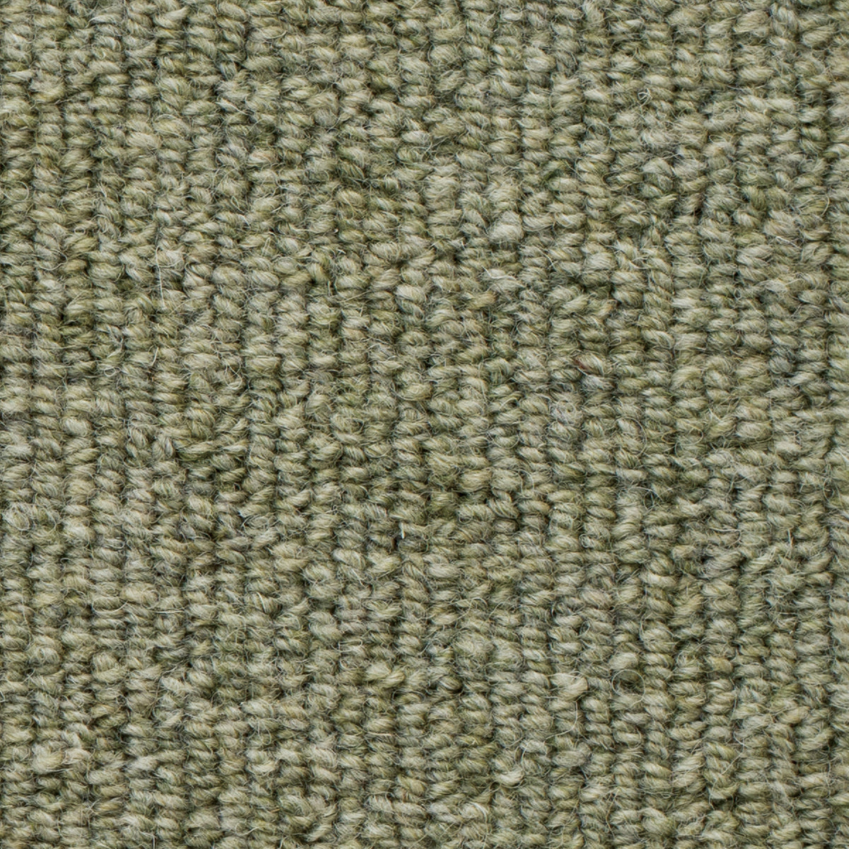 WS-108 (ウールスコット プレーン WOOL SCOT PLAIN)