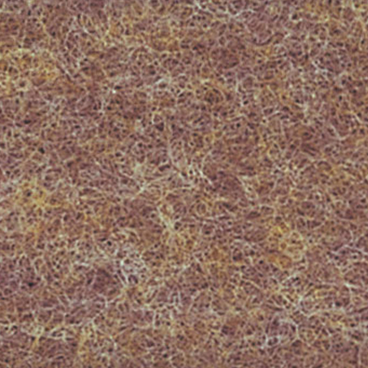 1165 (ピンキーエコ)