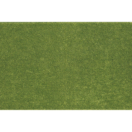 SOLIDY / ソリッディー  (#4 グリーン)