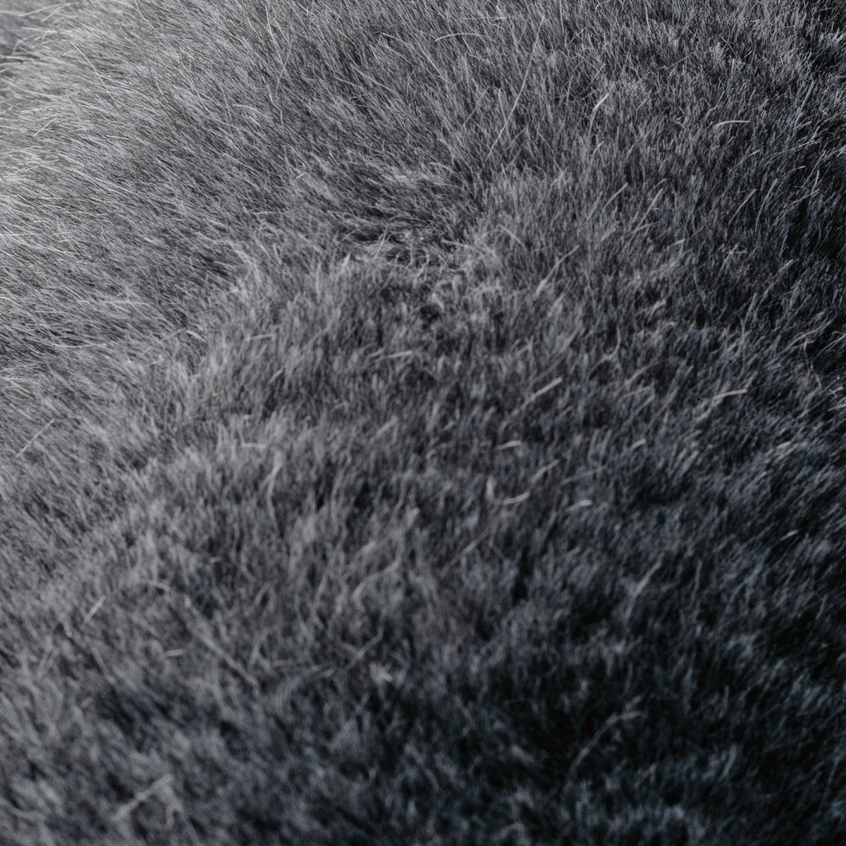 13127330_10_up_1200x1200_crop_