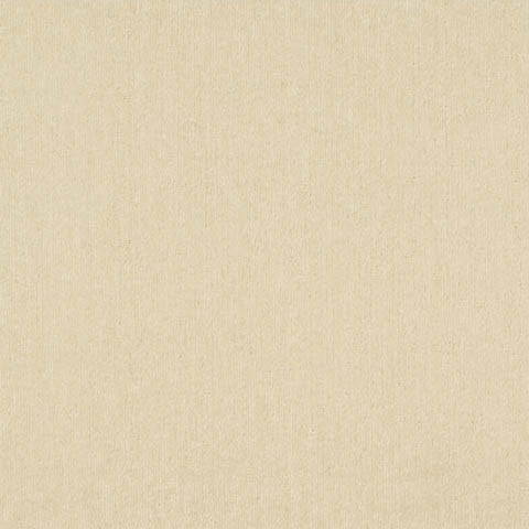 R-2000 PLAIN / プレーン (2001 アイボリー)