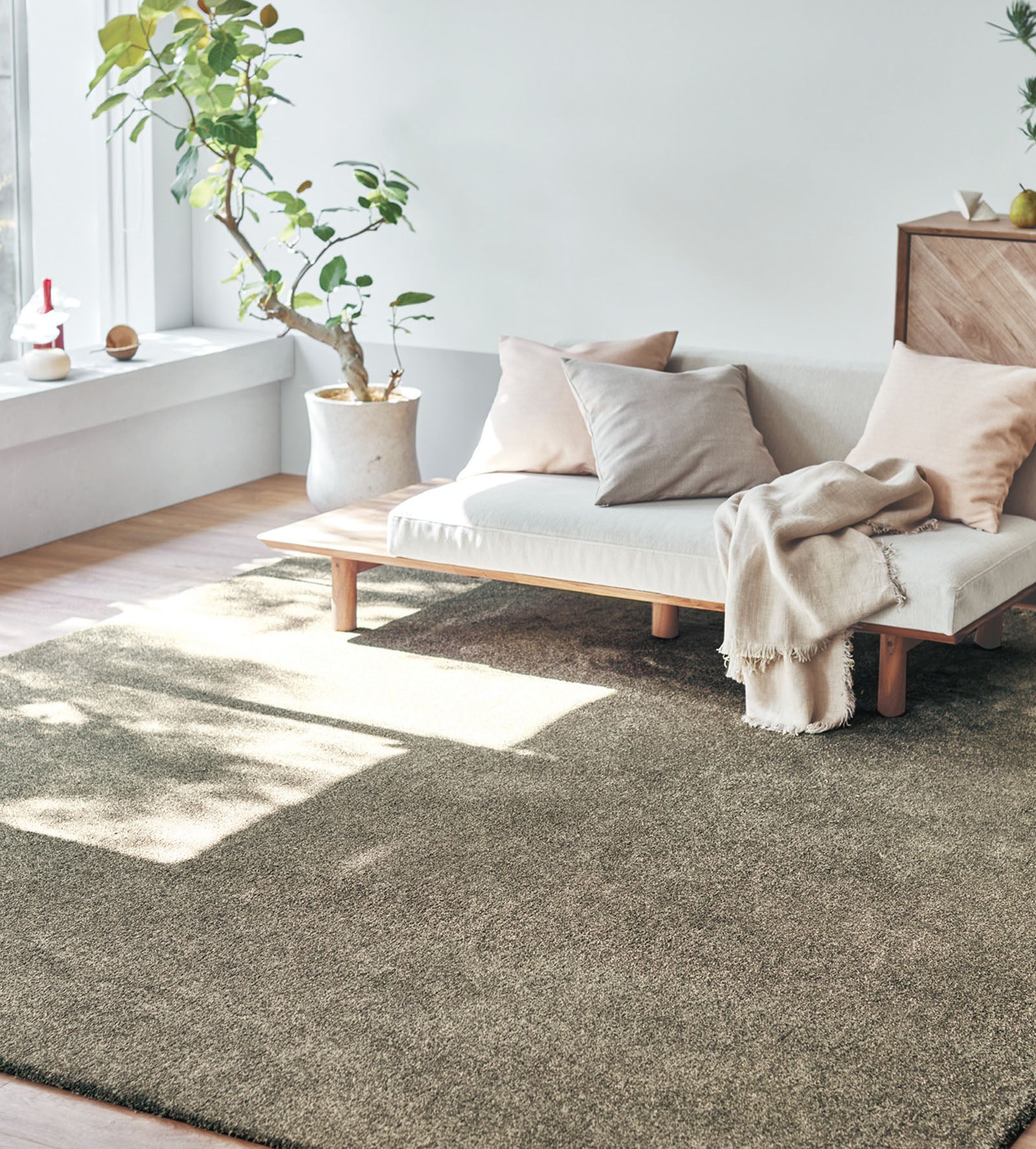 FAME / フェイム(#8 ブラウン)